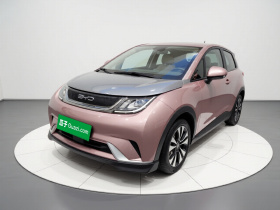 比亚迪 海豚 2021款 401km 骑士版