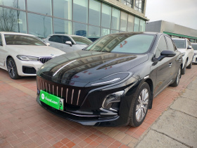 红旗E-QM5 2022款 431km 充电乐享版