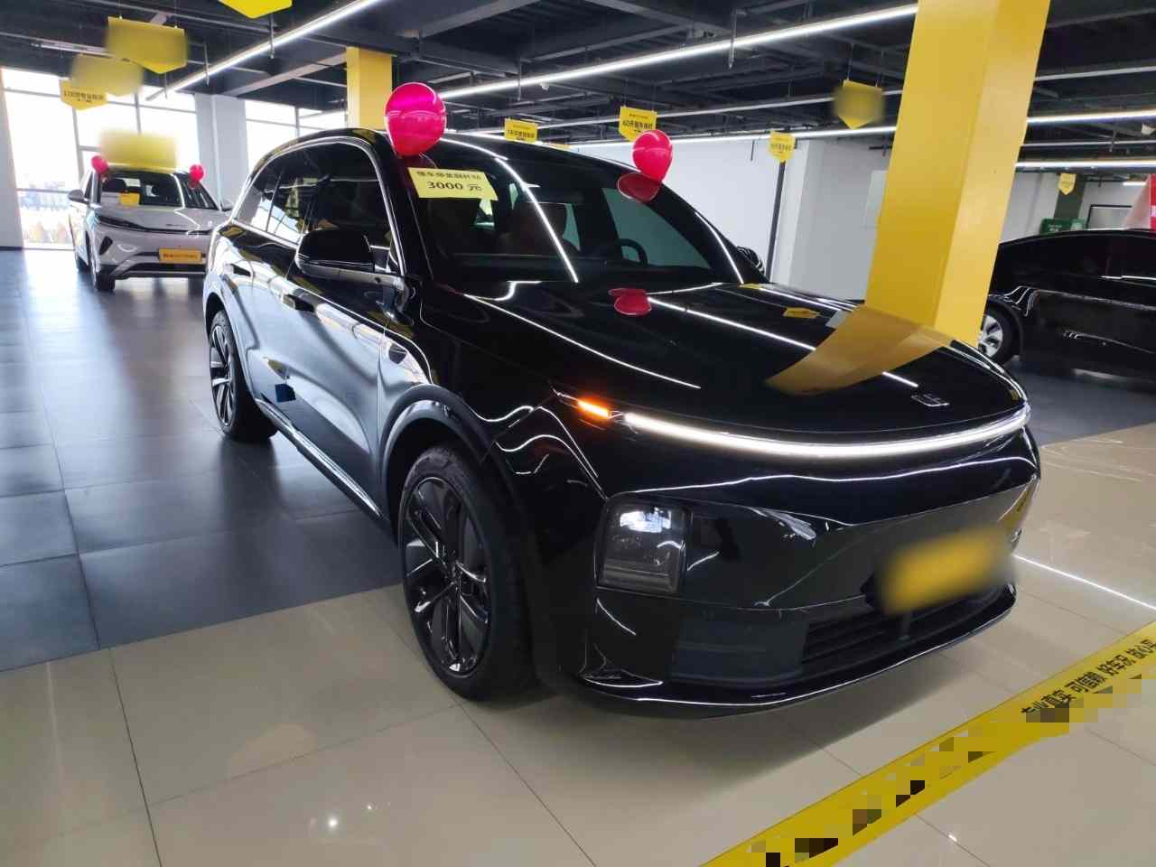 理想汽车 理想L6 2024款 Pro(5)