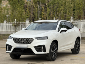 魏牌 VV7 GT 2020款 2.0T 旗舰型