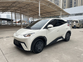 比亚迪 海鸥 2023款 活力版