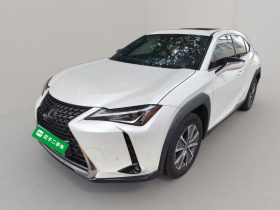 雷克萨斯UX新能源 2020款 300e 纯·悦版