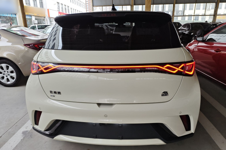 比亚迪 海豚 2021款 405km 时尚版车身外观6004