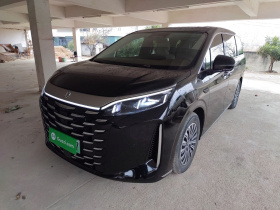 比亚迪 夏 2025款 DM-i 1.5T 180km 卓越型