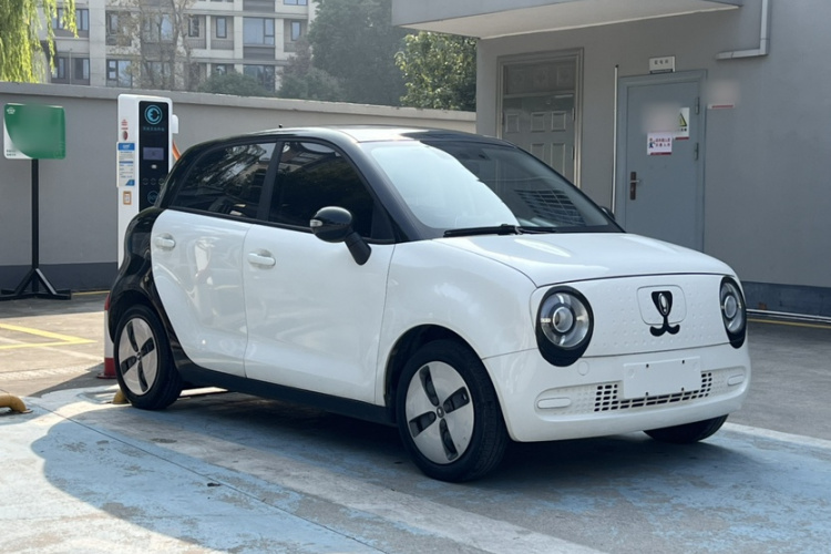 欧拉黑猫 2021款 301km 萌宠版车身外观6002