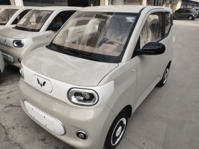 五菱汽车 宏光MINIEV 2024款 第三代 215km 青春版