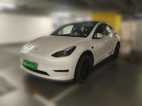 特斯拉 Model Y 2024款 后轮驱动版