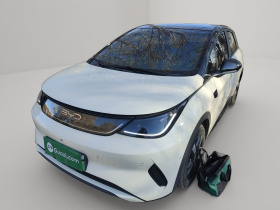 比亚迪 海豚 2025款 智驾版 410km 时尚版