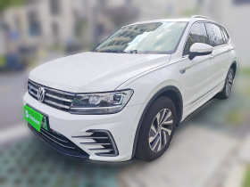 大众 途观L新能源 2020款 430PHEV 插电混动尊贵版