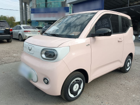 五菱汽车 宏光MINIEV 2024款 第三代 215km 青春版