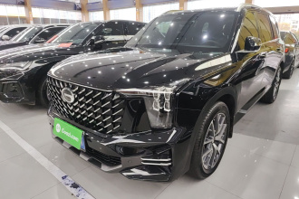 广汽传祺 传祺GS8 2025款 领航系列 2.0TGDI 两驱豪华版 5座