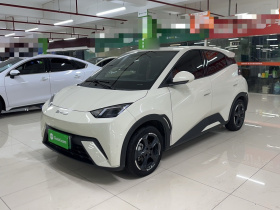 比亚迪 海鸥 2023款 飞翔版