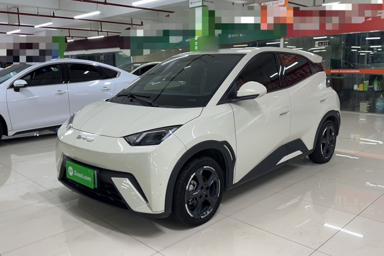 比亚迪 海鸥 2023款 飞翔版车身外观1