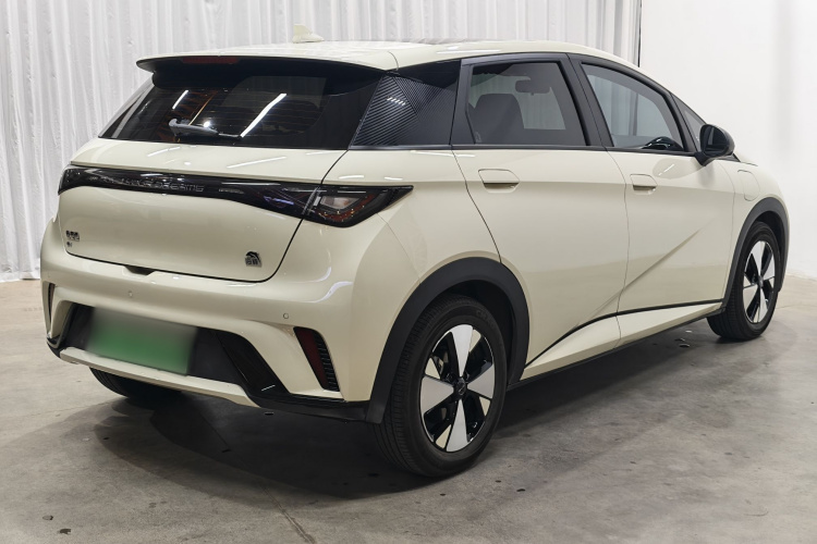 比亚迪 海豚 2023款 420km 时尚版车身外观6003