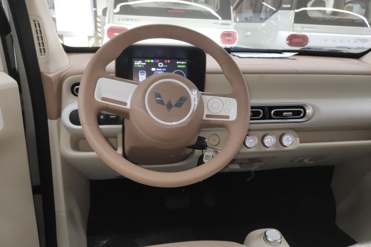 五菱汽车 宏光MINIEV 2024款 第三代 215km 青春版局部细节13