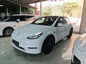 特斯拉 Model Y 2024款 Performance高性能版