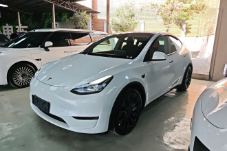 特斯拉 Model Y 2024款 Performance高性能版