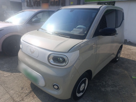 五菱汽车 宏光MINIEV 2024款 第三代 215km 青春版