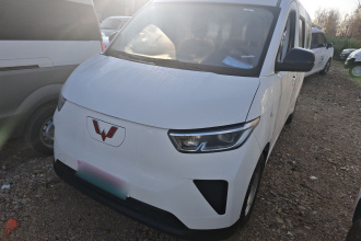 五菱汽车 五菱扬光 2024款 300KM 舒适型客车版 75kW