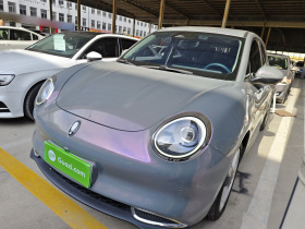 欧拉好猫 2021款 400km标准续航 维纳斯版 三元锂