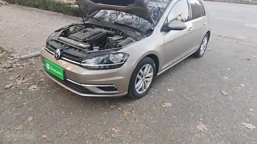 大众 高尔夫 2019款 280TSI DSG舒适型 国V检测视频1