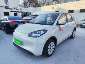 五菱汽车 五菱缤果 2025款 203km 轻享款