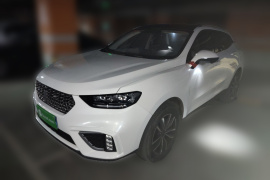 魏牌 VV5 2021款 1.5T 两驱智先锋