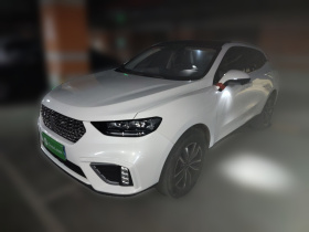 魏牌 VV5 2021款 1.5T 两驱智先锋