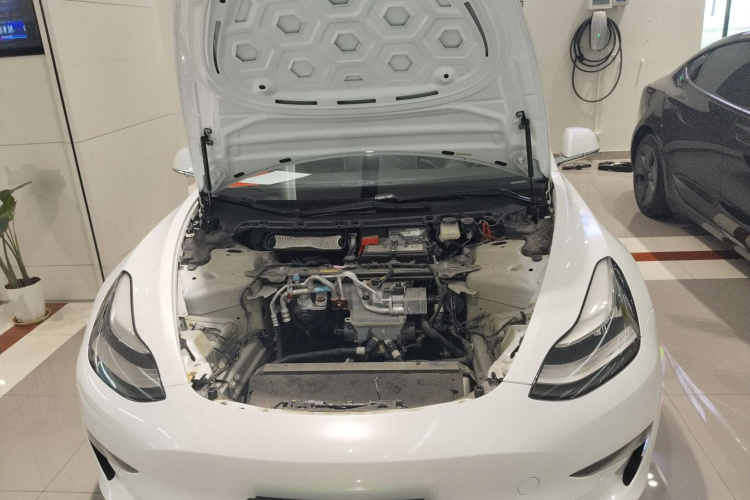 特斯拉 Model 3(进口) 2019款 长续航后驱版机舱底盘24