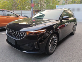 岚图汽车 岚图FREE 2021款 两驱标准纯电城市版