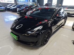 特斯拉 Model 3 2022款 后轮驱动版