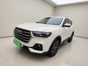 哈弗H6 2021款 国潮版 1.5T 自动都市版