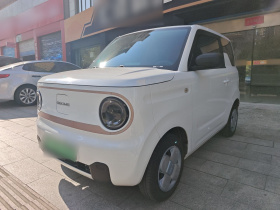 吉利银河 2023款 熊猫mini 200km 耐力熊