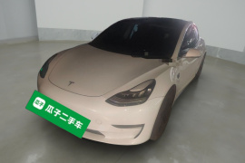 特斯拉 Model 3(进口) 2019款 长续航全轮驱动版