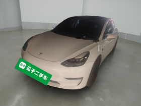 特斯拉 Model 3(进口) 2019款 长续航全轮驱动版