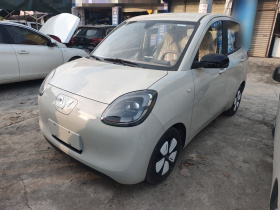 五菱汽车 宏光MINIEV 2025款 四门版 进阶款