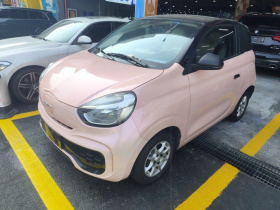 荣威 科莱威CLEVER 2022款 311km元气啵啵版