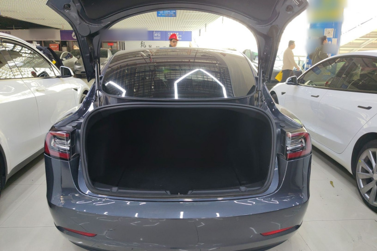 特斯拉 Model 3 2020款 改款 标准续航后驱升级版局部细节23