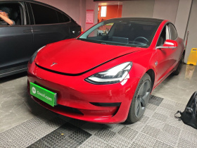 特斯拉 Model 3 2020款 改款 标准续航后驱升级版