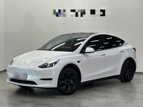 特斯拉 Model Y 2023款 后轮驱动版