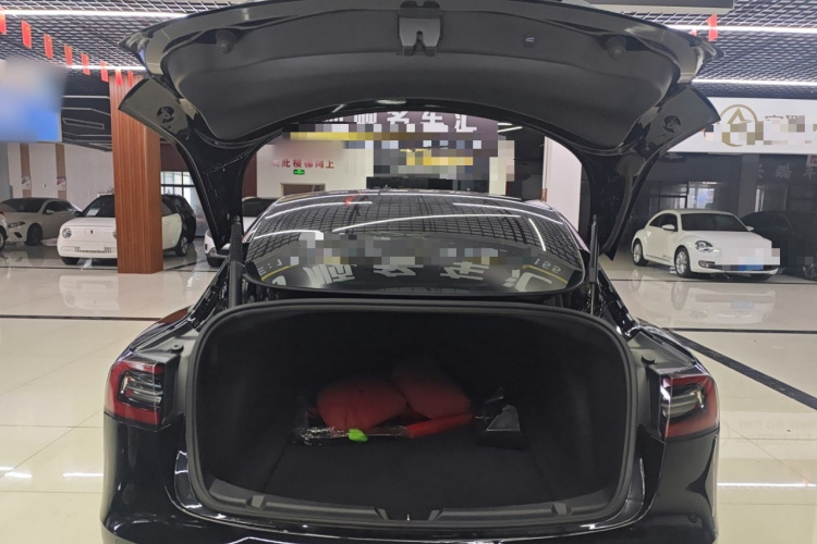 特斯拉 Model 3 2021款 Performance高性能全轮驱动版机舱底盘23