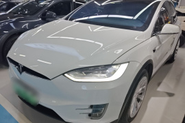 特斯拉 Model X 2019款 长续航版