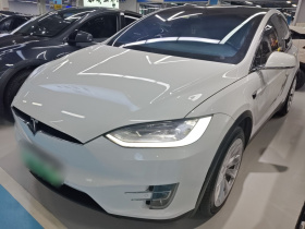 特斯拉 Model X 2019款 长续航版