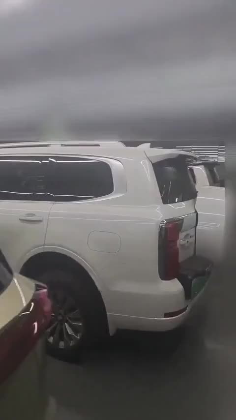 坦克400新能源 2024款 Hi4-T 越野版讲解2