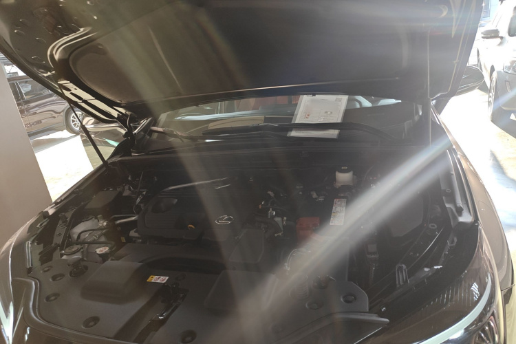 雷克萨斯NX 2023款 260 前驱 创驰版局部细节24