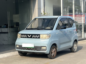 五菱汽车 宏光MINIEV 2020款 自在款 磷酸铁锂