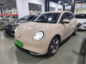 欧拉好猫 2023款 401km标准续航 尊贵型 磷酸铁锂