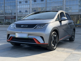 比亚迪 海豚 2021款 405km 自由版