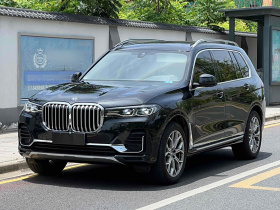 宝马X7 2021款 xDrive40i 领先型豪华套装