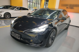 特斯拉 Model 3 2021款 标准续航后驱升级版 3D6